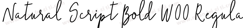 Natural Script Bold W00 Regular字体转换